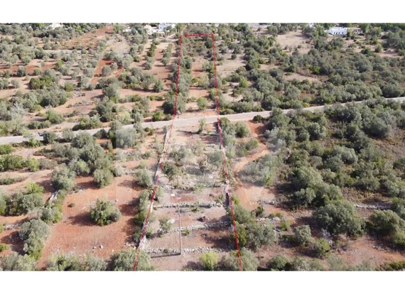 Rustic land in Amendoeira - Querença, with carob and olive trees