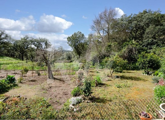 Moradia remodelada com jardim em Monchique