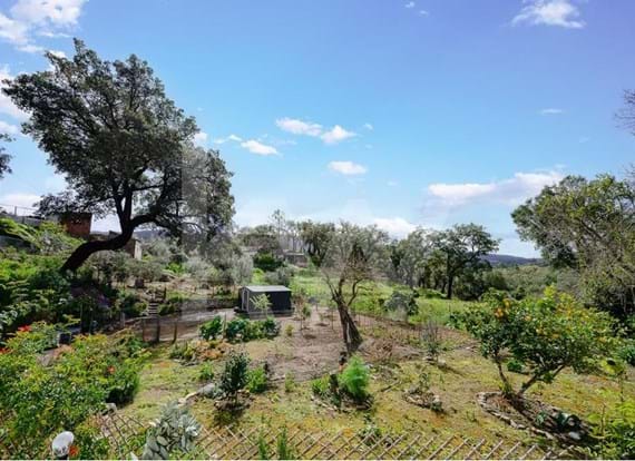 Moradia remodelada com jardim em Monchique