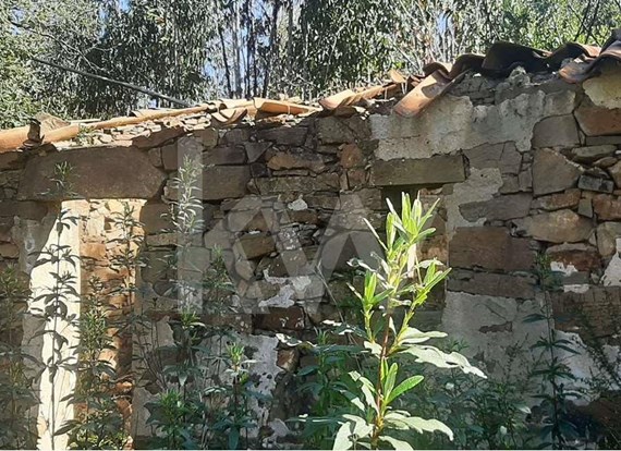 Ruina p/construção ou remodelação em Monchique c/75 m2