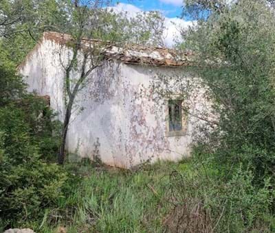 Terreno Rustico Com ruina, localizado em malha URBANA, sitio em Corcitos, Querença, Loulé - Loulé Corcitos