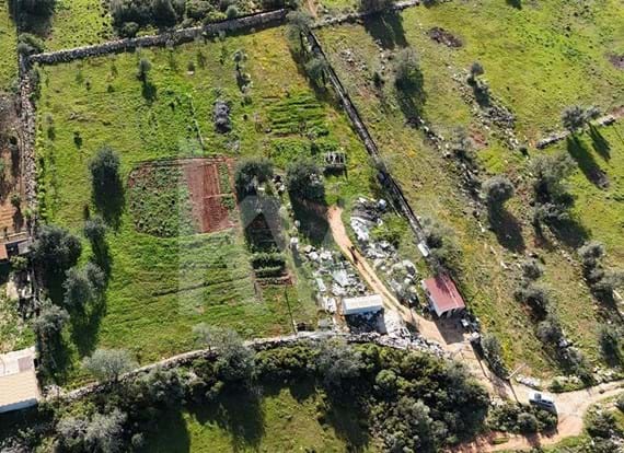 2 Rustic plots of land with an area of 15050m2 - Canals de Albufeira