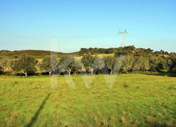 Conjunto de Terrenos com Ruína sito em Ribeira de Arade, São Bartolomeu de Messines