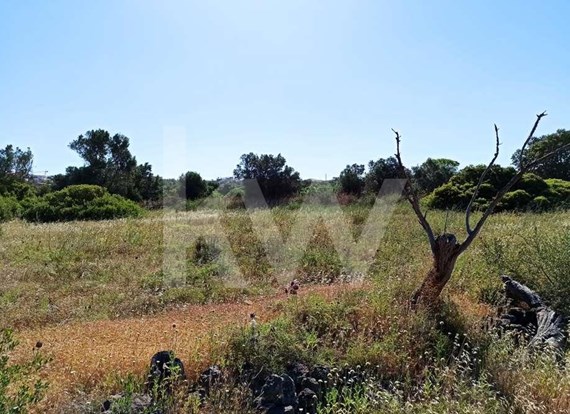Terreno na freguesia de S. Sebastião/ Loulé, junto a zona industrial