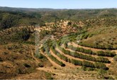Oportunidade de Investimento | Turismo Rual | 60 hectares na Deslumbrante Serra de Tavira | Algarve