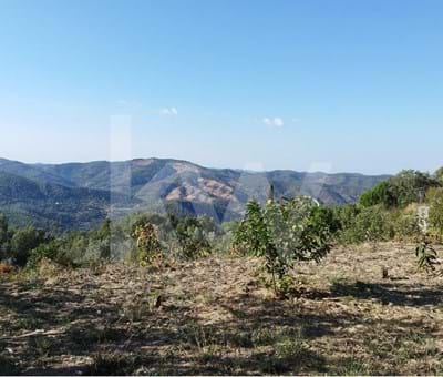 Plot of land with 1600sqm, good access and abundance of water in Monchique - Monchique Monchique