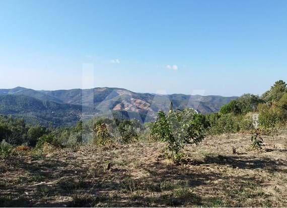 Plot of land with 1600sqm, good access and abundance of water in Monchique