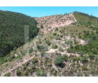 9.9ha property with terraces and planting - possible to build - Monchique Monchique