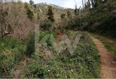 Terreno rústico com 12.000m2 com duas ribeiras em Monchique