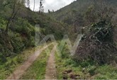 Terreno rústico com 12.000m2 com duas ribeiras em Monchique