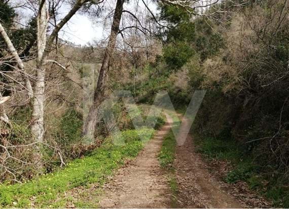 12.000 sqm plot of land with 2 streams in Monchique