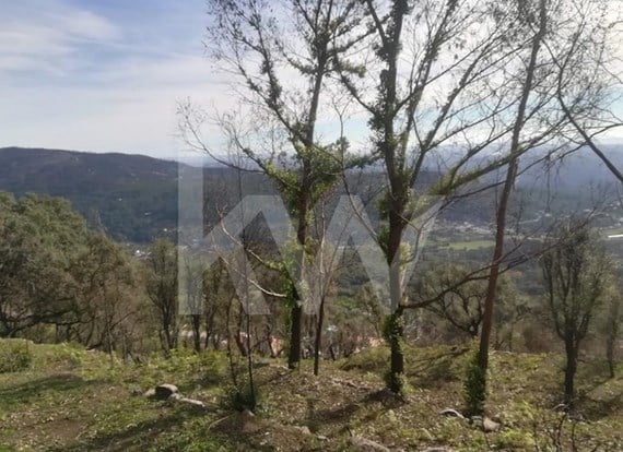 Land in the Serra de Monchique 8.780 sqm. Now with road access to the Land.