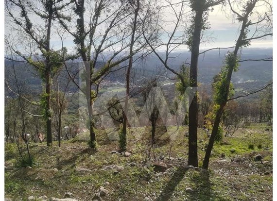 Terreno na Serra de Monchique 8.780 m2