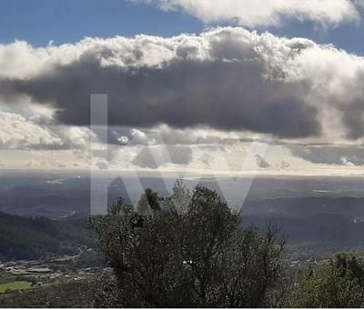 Land in the Serra de Monchique 8.780 sqm. Now with road access to the Land. - Monchique Fóia