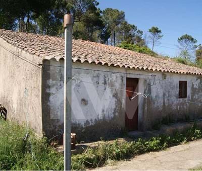 Farm with Ruin with 120m2 and 15,000m2 Land - Monchique - Monchique Fóia