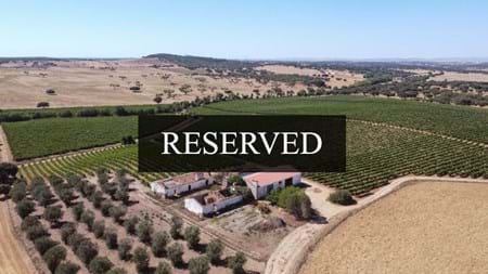 20 Hectares of Land with 16 hectares of Vineyard and 538 m2 of Ruins in Alentejo