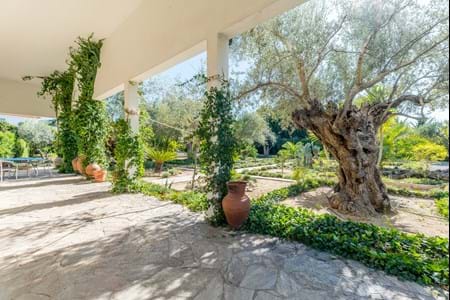  Ferme avec villa moderne de 5 chambres à vendre à Quinta do Anjo, Palmela