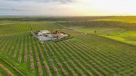  Propriété foncière pour l'agriculture ou le tourisme rural près d'Aljustrel, Alentejo