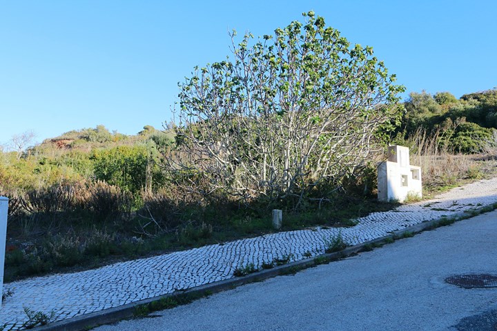 Land, Vila do Bispo