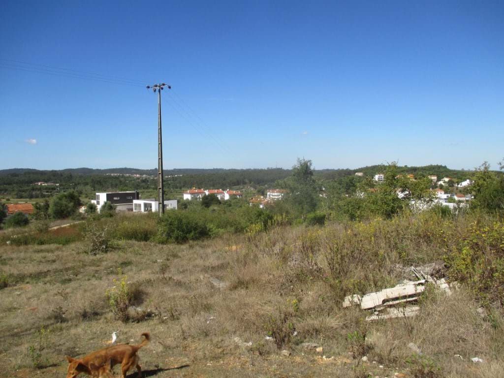 Terrenos rústicos e quintas para venda em Soure (Soure)