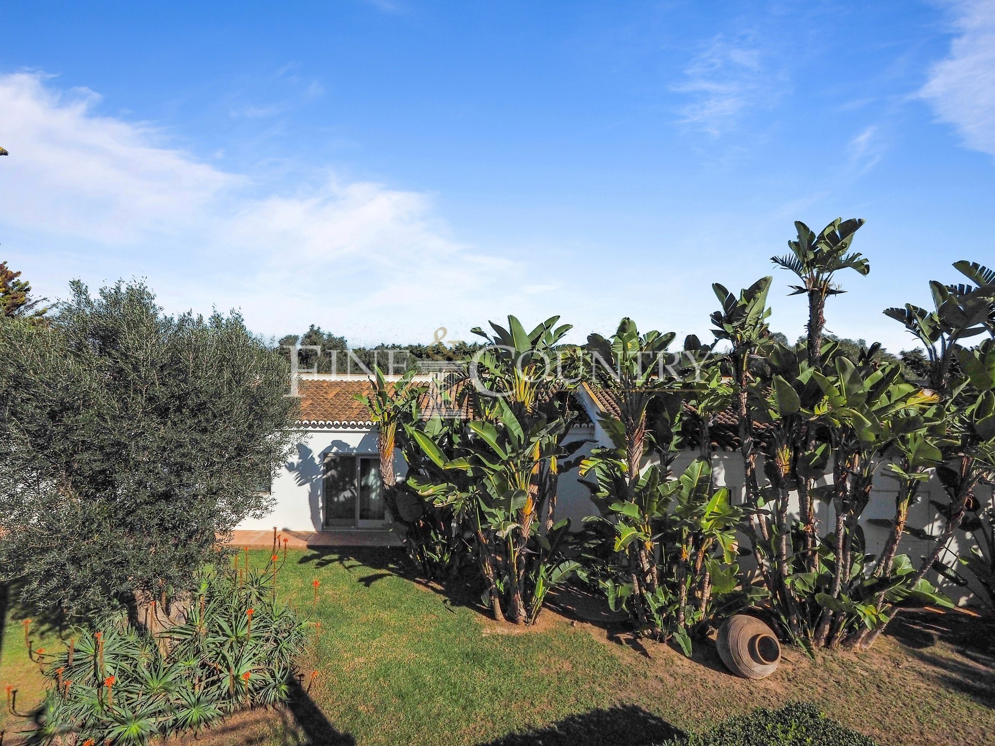 Photo of Silves - 4-bedroom country estate + 2 bedroom annexe