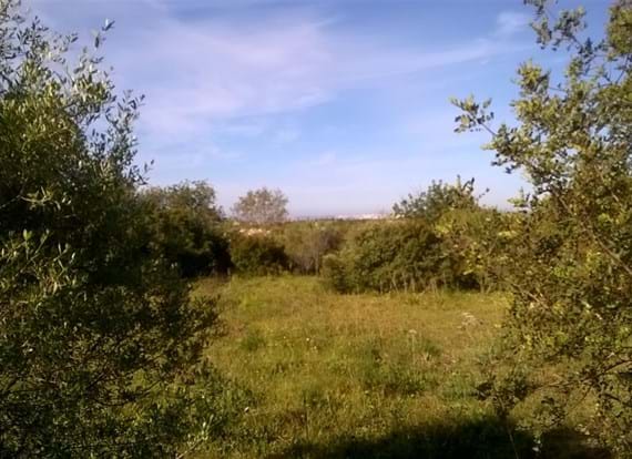 18160 m2 plot with possibility to build a retirement home or similar