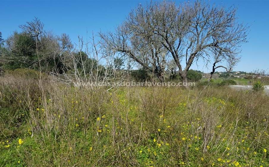 Plot for sale Lagos,Plot of land for construction Lagos,Plot with a building permit,Building land Algarve,Plot of land for sale Lagos,Land for sale Portugal