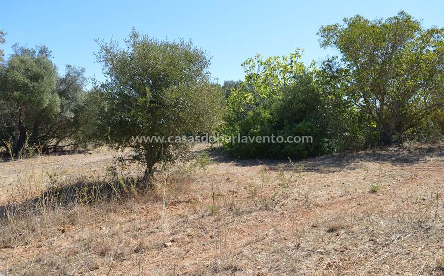 Land for sale in Lagos