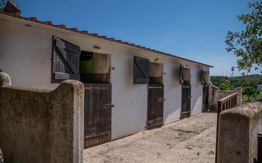 Farm for sale,Algarve,Portugal,Retreat,Business opportunity,Accommodation,Land