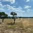 RESERVADO - Quintinha T5 em lote de terreno com 2hectares e meio