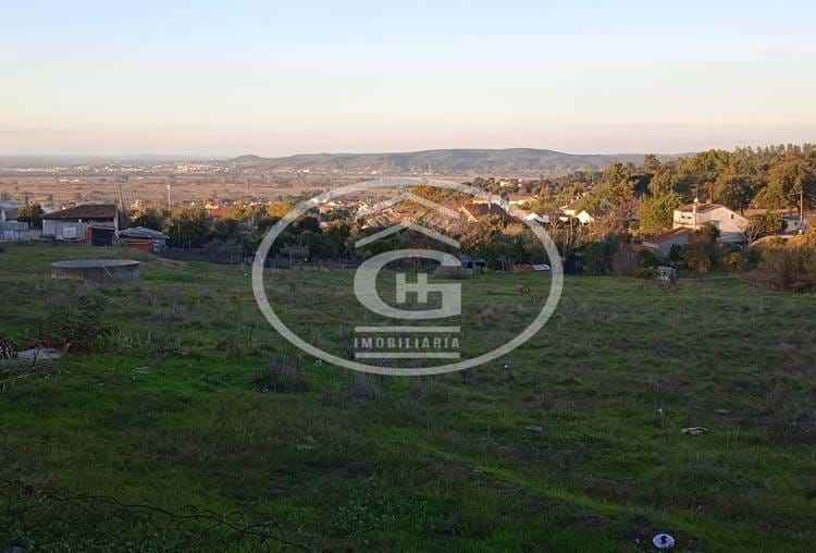 Quinta em Carregueira com 11 Moradias e Zona Agricola, Pomar e Pinheiros com total de 20.910m2 de área.