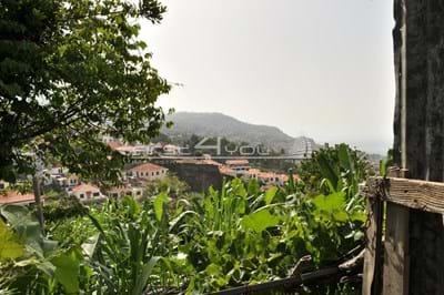 Grundstück Funchal Monte