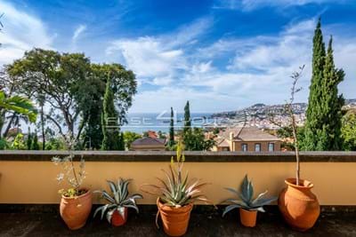 Boutique Tourism Business & House for Sale in the Old Town of Funchal