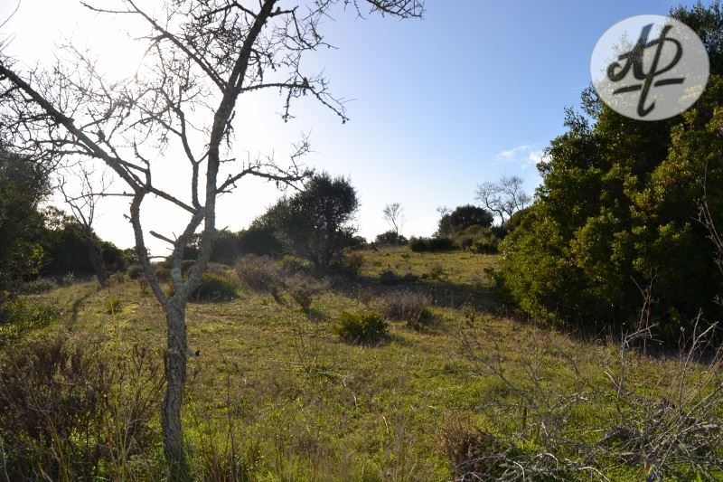 Lagos– Barão São Miguel– large plot of land in rural location with beautiful views over the countryside ! 