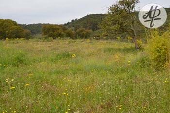 Vila do Bispo–Pedralva–large plot of land in rural location with beautiful views over the countryside.