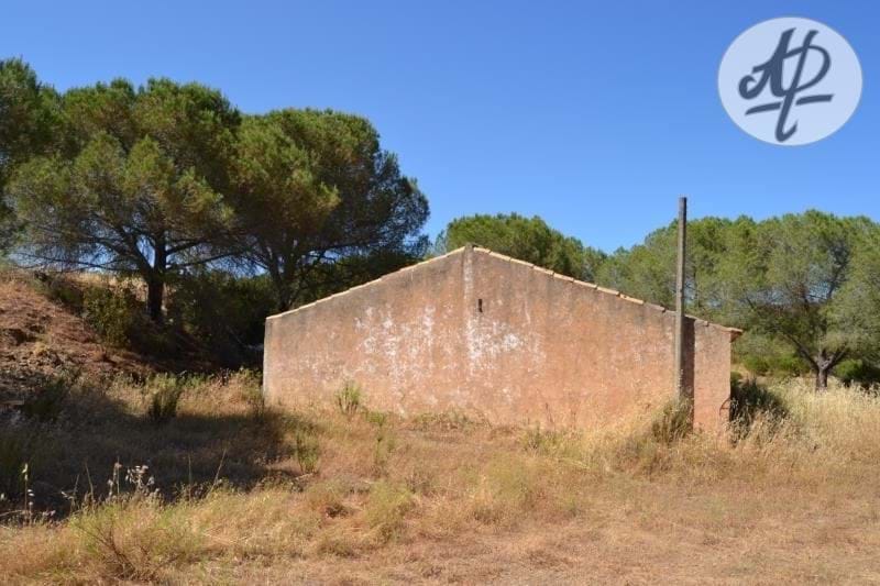         Mexilhoeira – Countryside – rustic storey in a large plot of  land. Perfect to live and do organic farming.