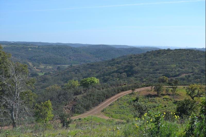 Massive plot of land located in rural area with  good size  ruin on a hill with fabulous panoramic views!!  Great tourist potential!