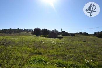 Countryside ruin ready to be renovated in a large plot of land near to Odiaxere