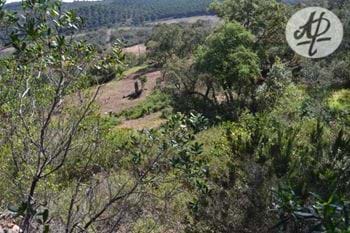 Rustic plot near Bravura dam with beautiful views!