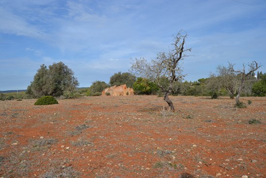 Immense terrain à la campagne avec 2 ruines à reconstruire à vendre à Odiaxere !