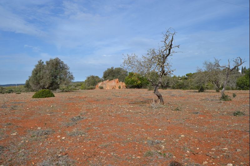 Huge Plot of land in countryside with 2 ruins to rebuild for sale in Odiaxere!