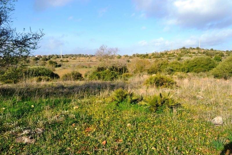 Lagos - Portelas - Opportunity to purchase 6 plots and build several properties with parking space and landscaped gardens 