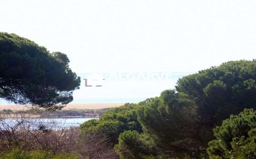 Excellent plot of land near the beach.
