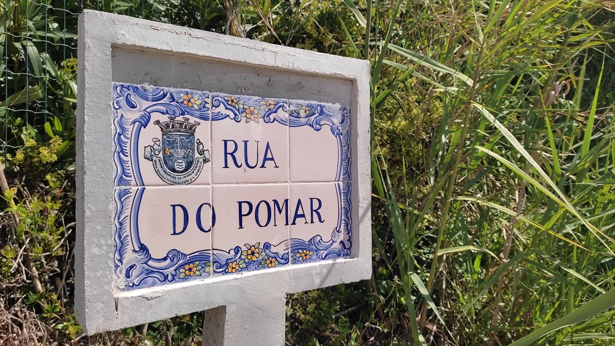 Villas avec piscine près de Caldas da Rainha | Côte d'Argent Portugal, Portugal Realty, ImmoPortugal