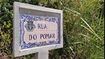 Villas avec piscine près de Caldas da Rainha | Côte d'Argent Portugal, Portugal Realty, ImmoPortugal
