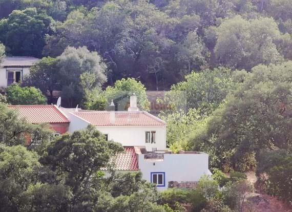 Property in Monchique with the area of 140.420,00 m2 