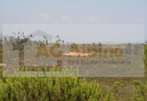 Land with ruin in Mexilhoeira Grande with the area of 50.000m2.