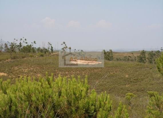 Land with ruin in Mexilhoeira Grande with the area of 50.000m2.