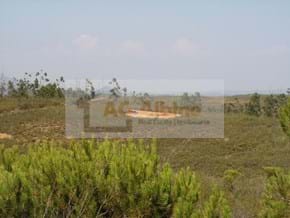 Land with ruin in Mexilhoeira Grande with the area of 50.000m2. - Portimão Mexilhoeira Grande