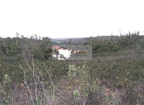 Terreno com ruína em Mexilhoeira Grande com a área de 52.750 m2. 